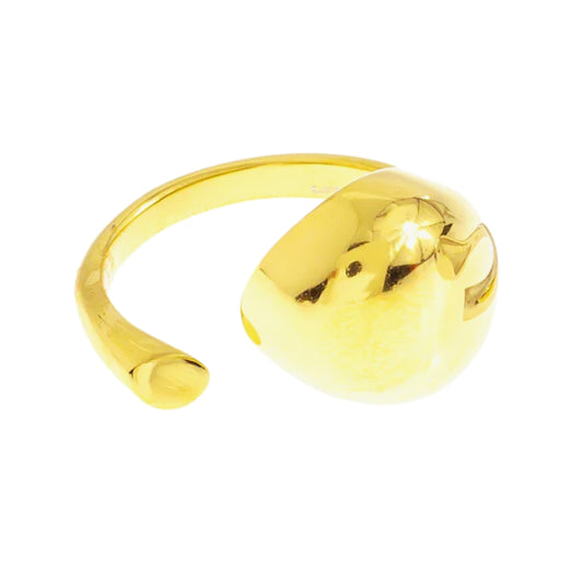 Anillo Gota