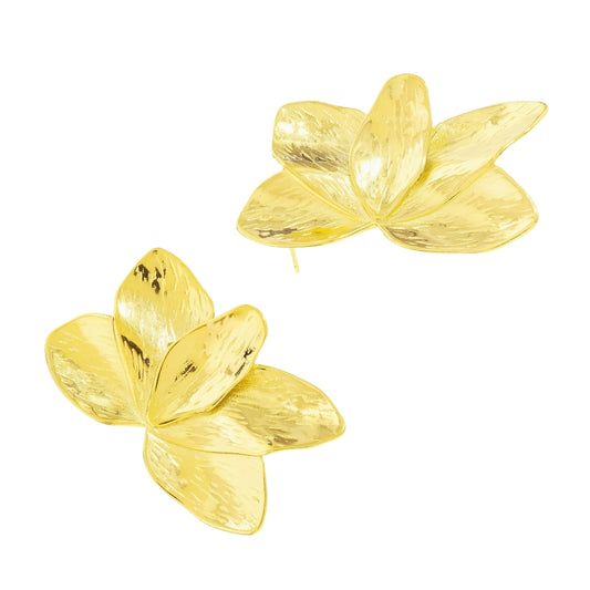 Pendientes Forest